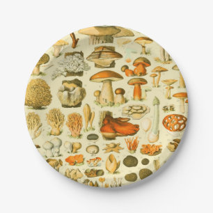 Mushroom Vintage Toadstool Antique Illustration Paper Plate