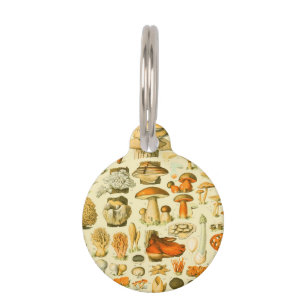 Mushroom Vintage Toadstool Antique Illustration Pet Tag