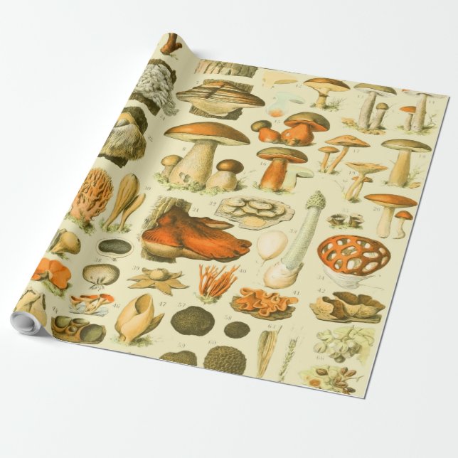 Mushroom Vintage Toadstool Antique Illustration Wrapping Paper (Unrolled)