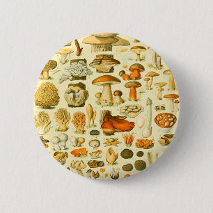 Mushroom Vintage Toadstool Botanical Art 6 Cm Round Badge