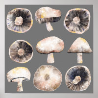 Mushroom Watercolor