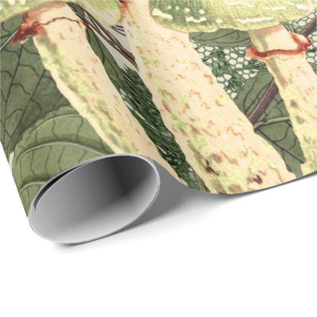 Mushroom Woodland Antique Vintage Burlap Lace Wrapping Paper (Roll Corner)