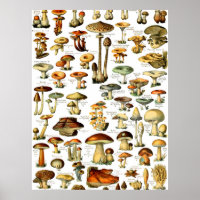MUSHROOMS 4