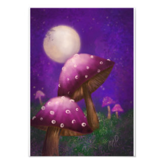 Mushrooms and moonlight photo print