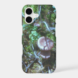 Mushrooms and Moss on Film