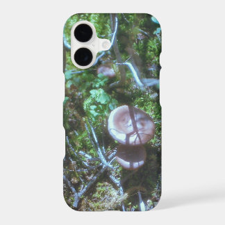 Mushrooms and Moss on Film