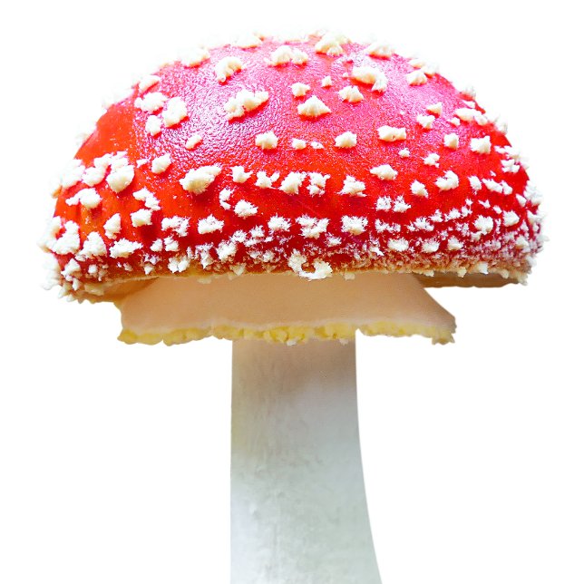 Mushrooms Apron (Creator Uploaded)