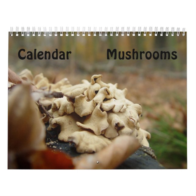 Mushrooms Calendar (Cover)