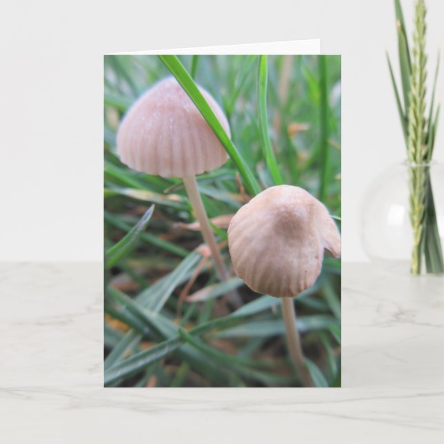 Mushrooms card blank (Front)