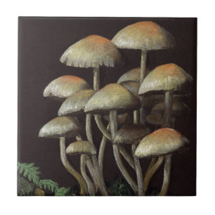 Mushrooms Ceramic Tile