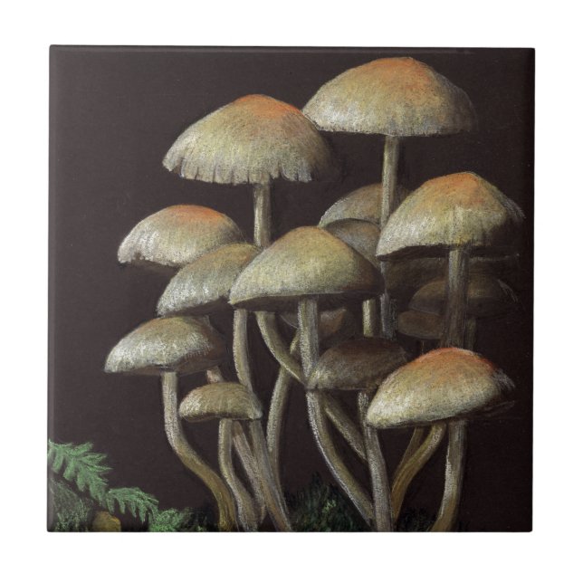 Mushrooms Ceramic Tile (Front)
