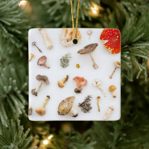 Mushrooms Fungus Ceramic Ornament