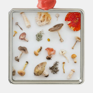 Mushrooms Fungus Metal Ornament
