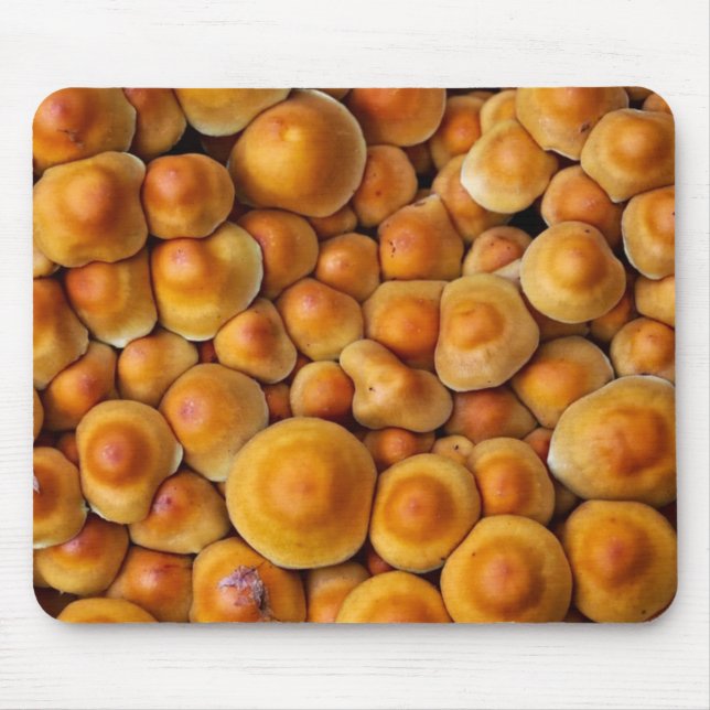 Mushrooms Fungus Mouse Pad (Front)