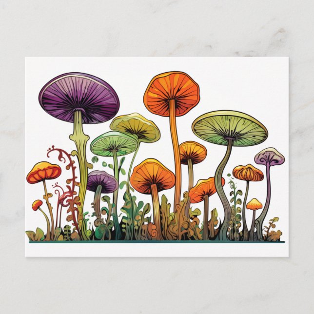 Mushrooms green orange postcard (Front)