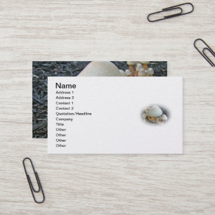 Mushrooms in Mulch - Leucoagaricus americanus Business Card