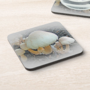 Mushrooms in Mulch - Leucoagaricus americanus Coaster