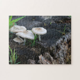 Mushrooms in Nature on a Maple Tree Stump Jigsaw Puzzle