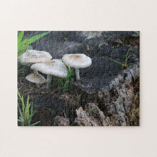 Mushrooms in Nature on a Maple Tree Stump Jigsaw Puzzle (Horizontal)