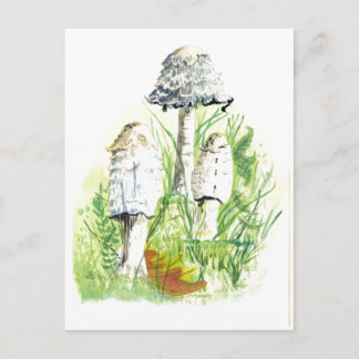 Mushrooms in Nature - Water Colour Art Postcard