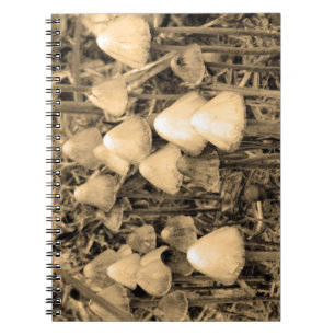 Mushrooms in sepia notebook