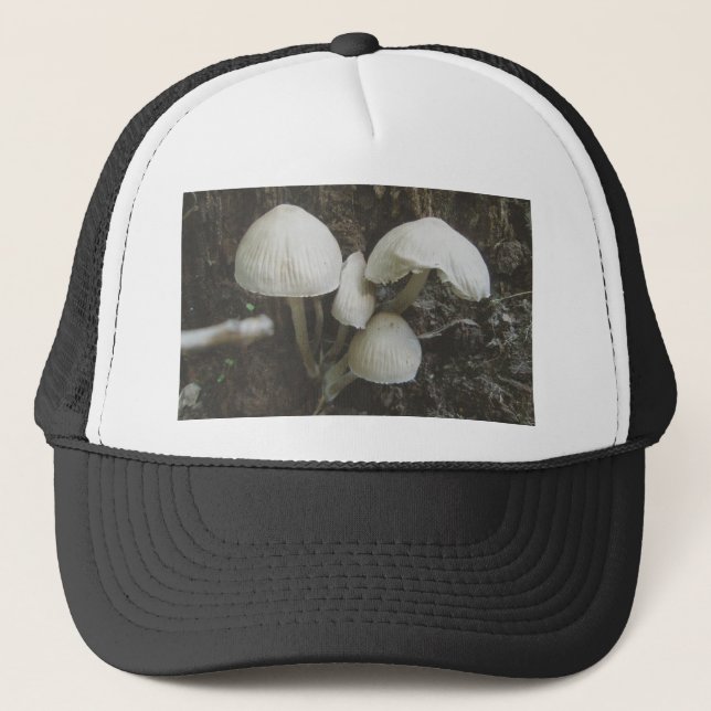 Mushrooms in Stump Hat (Front)