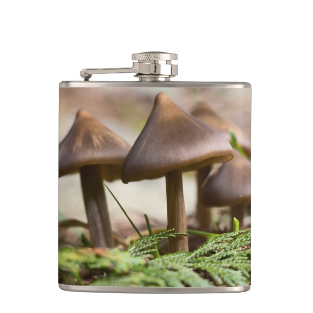 Mushrooms in the Forest  Hip Flask (Front)