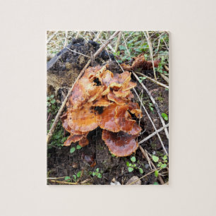 Mushrooms in the Forest Jigsaw Puzzle