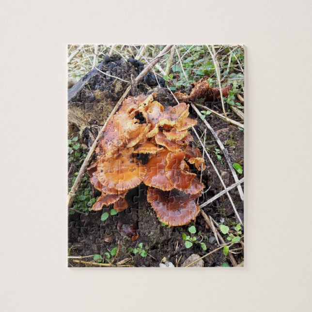 Mushrooms in the Forest Jigsaw Puzzle (Vertical)