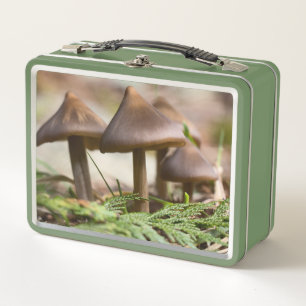 Mushrooms in the Forest Metal Lunch Box