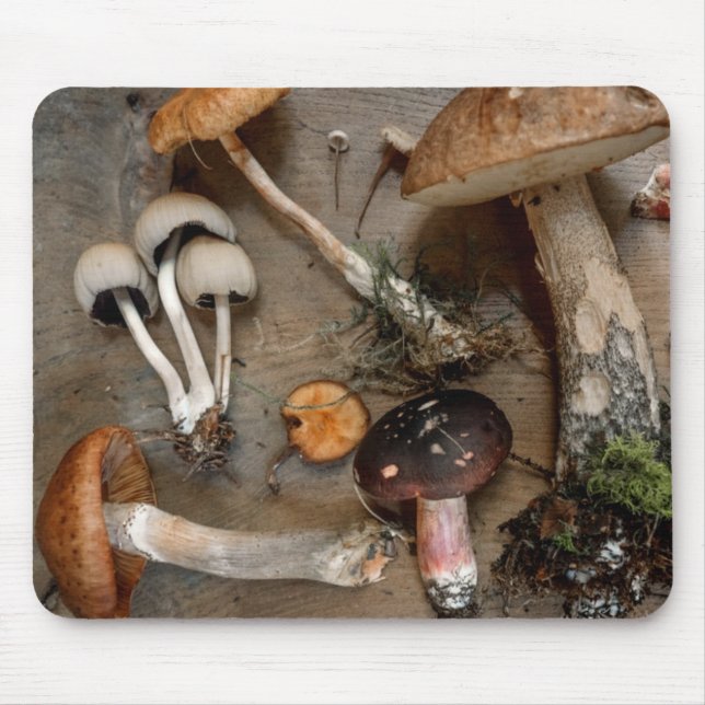Mushrooms  Love Fungi Mouse Pad (Front)