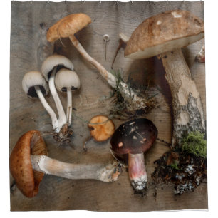 Mushrooms  Love Fungi Shower Curtain