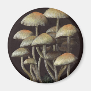 Mushrooms Magnet
