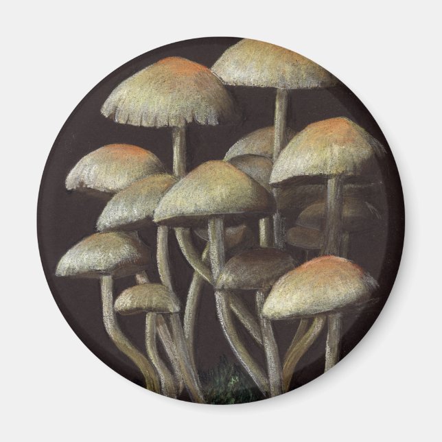 Mushrooms Magnet (Front)