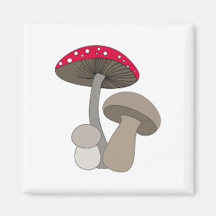 Mushrooms Magnet