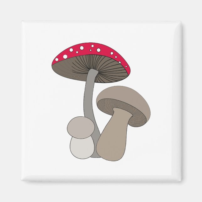 Mushrooms Magnet (Front)
