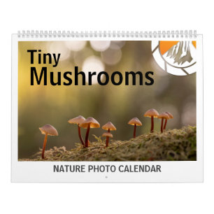 Mushrooms Nature Photos 2027 Calendar