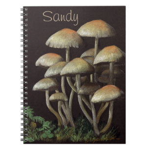 Mushrooms Notebook
