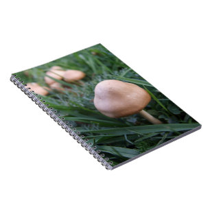 Mushrooms Notebook