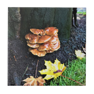 Mushrooms on a Tree, Oregon Ceramic Tile