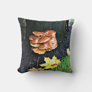 Mushrooms on a Tree, Oregon Cushion