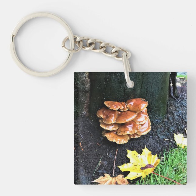 Mushrooms on a Tree, Oregon Key Ring (Front)