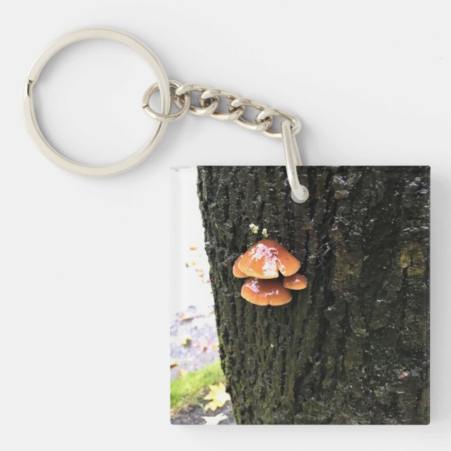 Mushrooms on a Tree, Oregon Key Ring (Front)