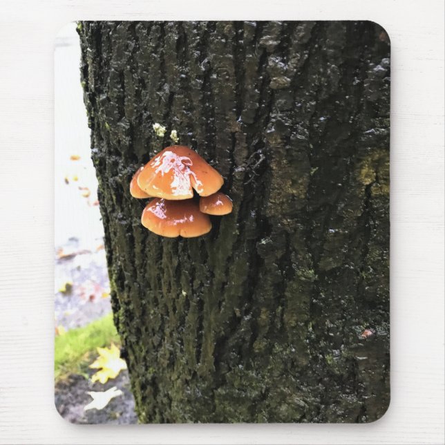 Mushrooms on a Tree, Oregon Mouse Pad (Front)