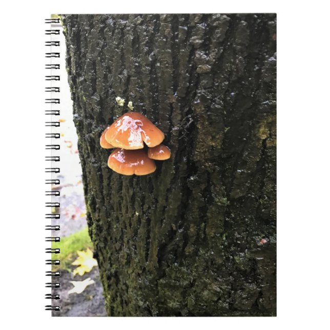 Mushrooms on a Tree, Oregon Notebook (Front)