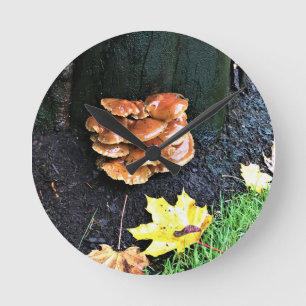 Mushrooms on a Tree, Oregon Round Clock