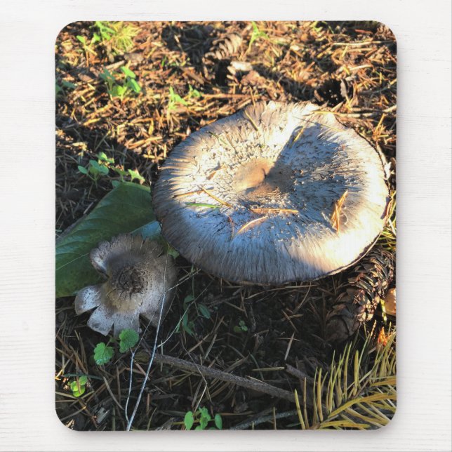 Mushrooms, Oregon Mouse Pad (Front)
