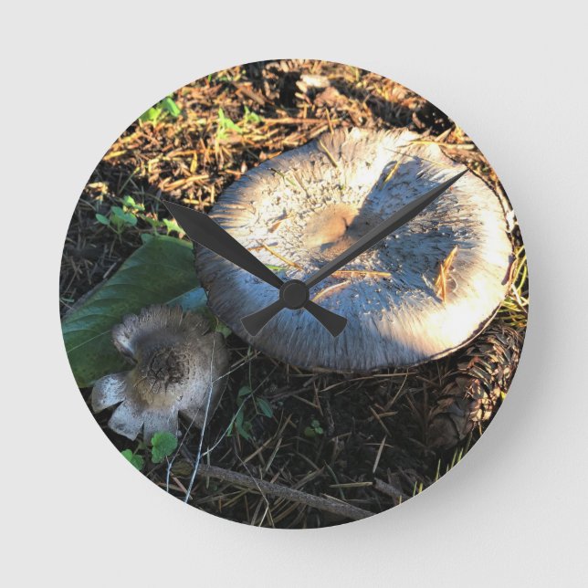 Mushrooms, Oregon Round Clock (Front)