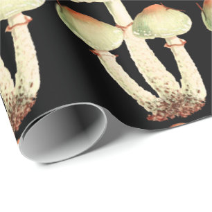 Mushrooms Rose Woodland Black Woodland Elegant Wrapping Paper