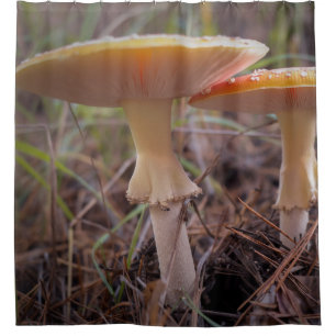 Mushrooms Shower Curtain